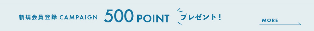 新規会員登録500ポイントプレゼント
